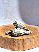 Load image into Gallery viewer, White Grandfather Sage - Small