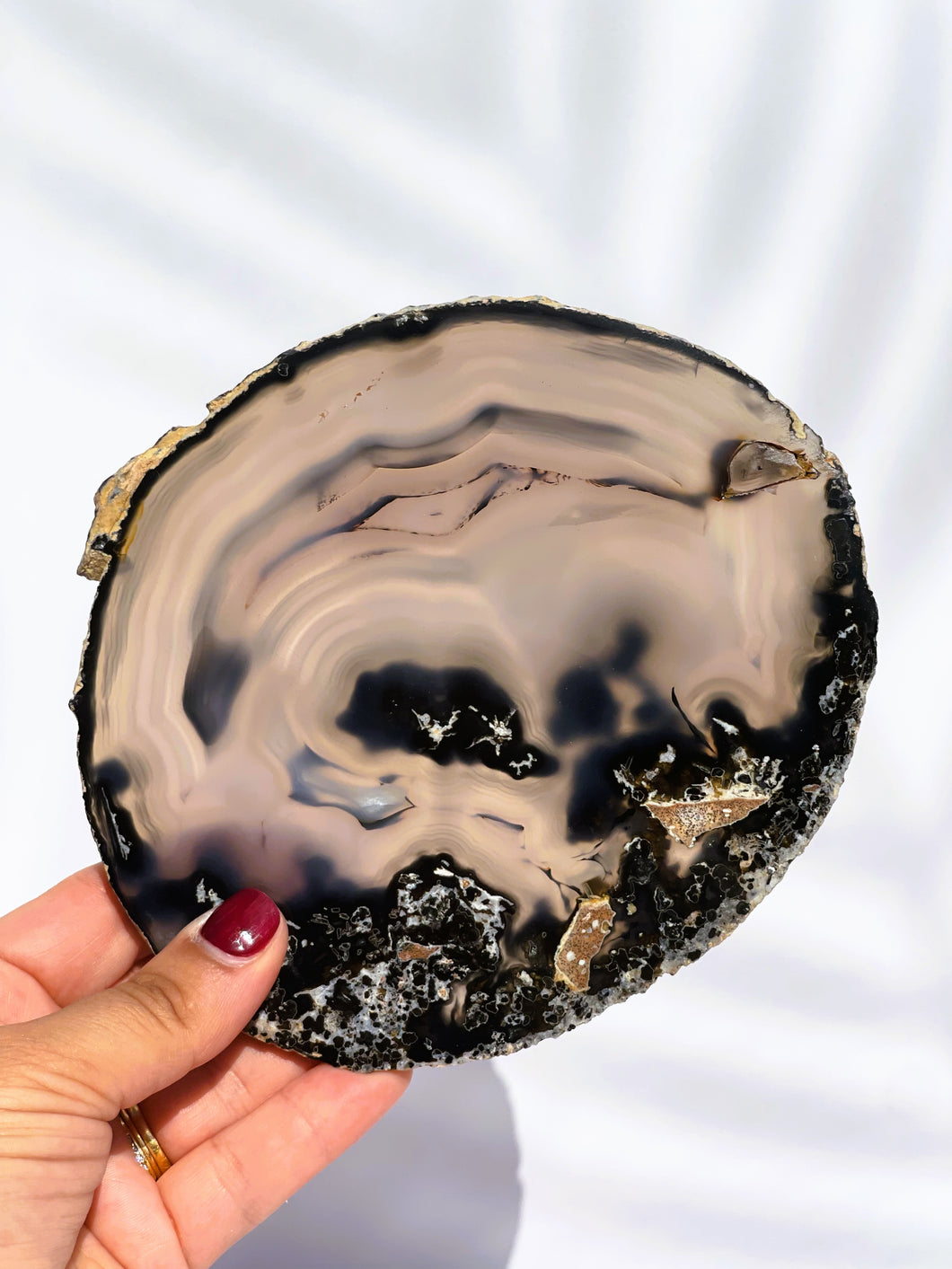 Agate Slice - IND158