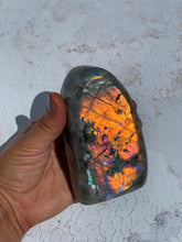 Load image into Gallery viewer, Labradorite Freeform - IND223
