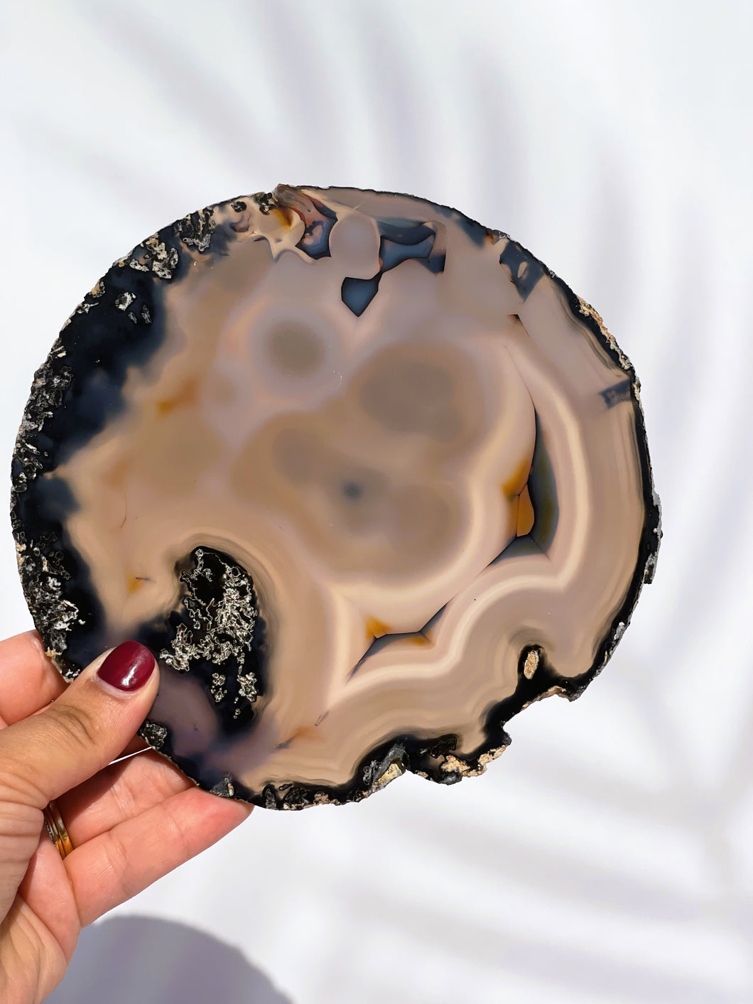 Agate Slice - IND091